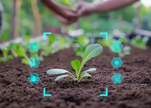 Vietnam and Brazil explore smart agriculture value chains