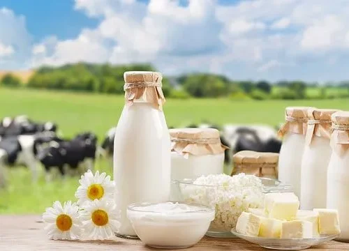 Zimbabwe nears milk self-sufficiency as national production exceeds 120 million litres