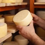 Russia develops special cheese to strengthen immunity