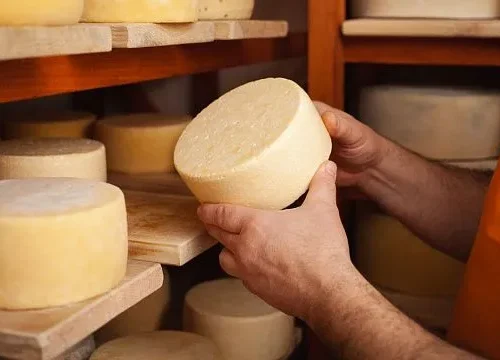 Russia develops special cheese to strengthen immunity