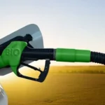 Indonesia to develop biodiesel fuel production from malapari tree seeds