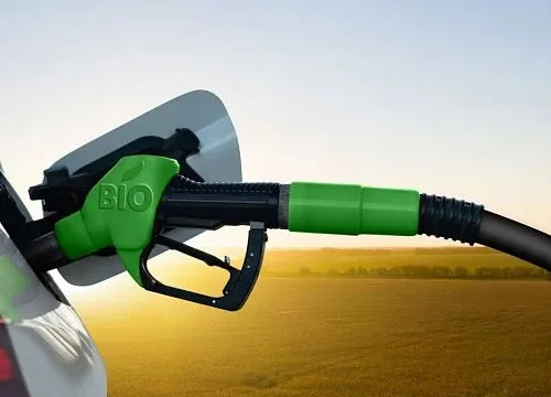 Indonesia to develop biodiesel fuel production from malapari tree seeds