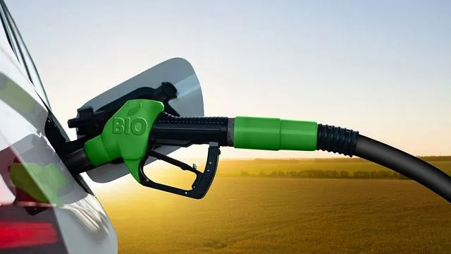 Indonesia to develop biodiesel fuel production from malapari tree seeds