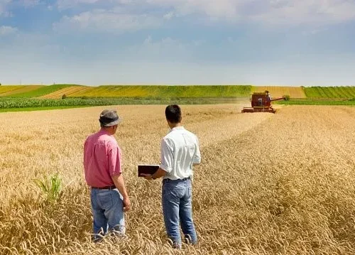 Russia and UAE strengthen agricultural cooperation agenda