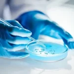 Chinese scientists develop “living glue” bacteria to treat inflammatory bowel disease