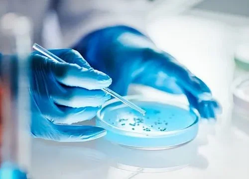 Chinese scientists develop “living glue” bacteria to treat inflammatory bowel disease