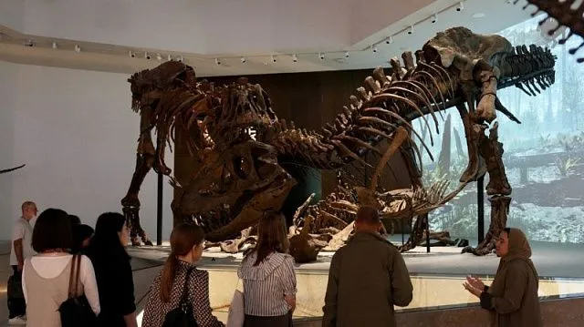 Scientists’ finds prove rivers once flowed and giraffe herds roamed where UAE sands now lie