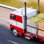 Iran eases agricultural import rules to boost food security and support traders