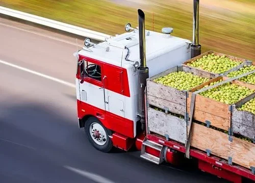 Iran eases agricultural import rules to boost food security and support traders