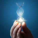 Russian scientists develop unique DNA sensor to assess protective effect of antioxidants in beverages