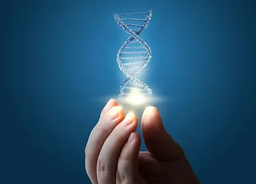 Russian scientists develop unique DNA sensor to assess protective effect of antioxidants in beverages