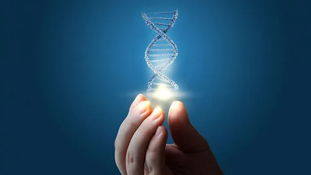 Russian scientists develop unique DNA sensor to assess protective effect of antioxidants in beverages