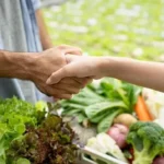 Egypt food exports reach 210,000 tonnes in one week