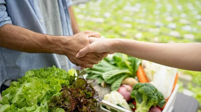 Egypt food exports reach 210,000 tonnes in one week