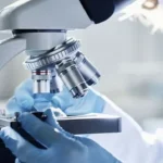 Kombucha-based skin substitute to transform wound healing treatments