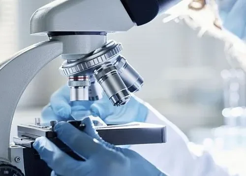 Kombucha-based skin substitute to transform wound healing treatments