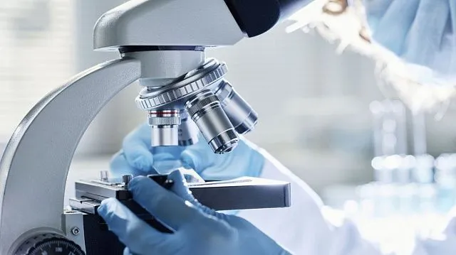 Kombucha-based skin substitute to transform wound healing treatments