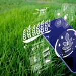 Indonesia targets stable rice reserves through 2029 as early harvest boosts output