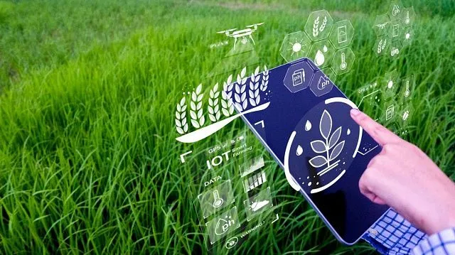 Indonesia targets stable rice reserves through 2029 as early harvest boosts output