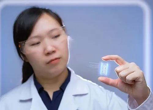 China scientists create flexible bioelectronic patch for targeted drug delivery to complex organs