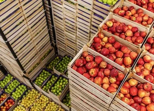 Egypt’s agricultural exports reach record US.5 billion in 2025
