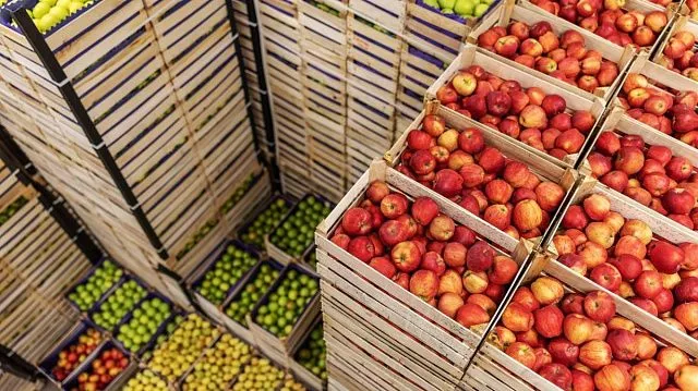 Egypt’s agricultural exports reach record US.5 billion in 2025