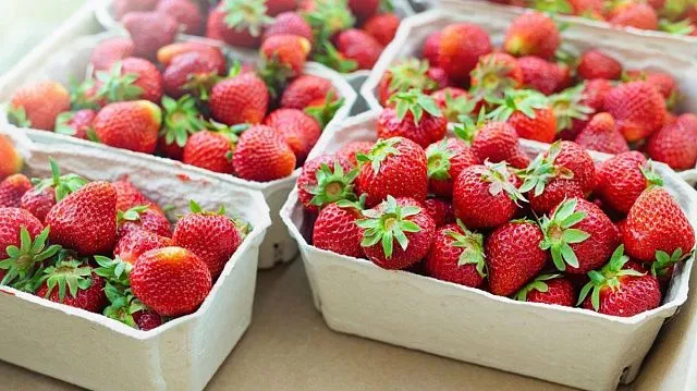 Egypt expands fresh strawberry exports to Uzbekistan