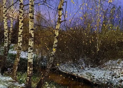 Russian philologists and journalists launch educational project on development of Eurasian space