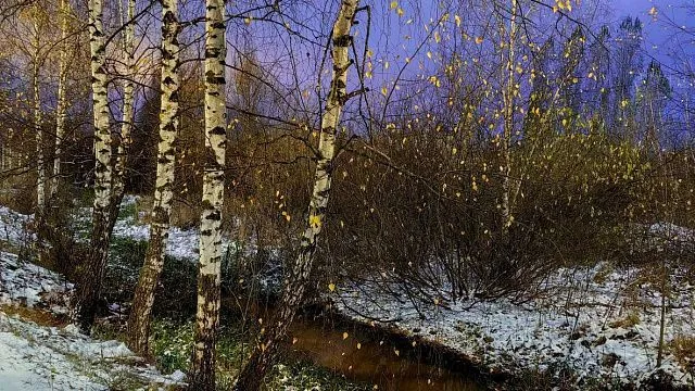 Russian philologists and journalists launch educational project on development of Eurasian space