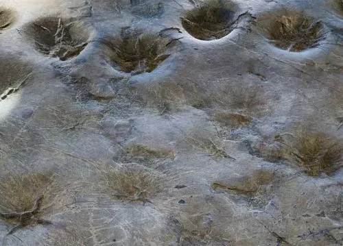 Beijing discovers Asia’s first Middle Jurassic amphibian footprints