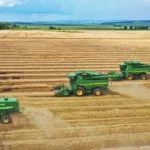 Heilongjiang Province becomes China’s leading grain producer in 2025