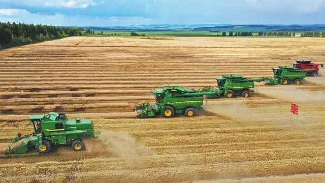 Heilongjiang Province becomes China’s leading grain producer in 2025