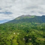 Zimbabwe expands summer cereal plantings beyond 100,000 hectares