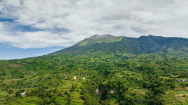 Zimbabwe expands summer cereal plantings beyond 100,000 hectares