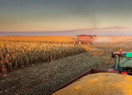 Brazil completes nearly 98% of Centre-South summer corn harvest