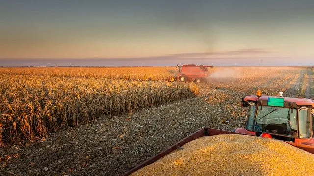 Brazil completes nearly 98% of Centre-South summer corn harvest