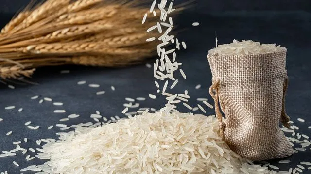 Indonesia ranks as ASEAN leading rice producer