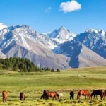 Kyrgyzstan begins nationwide project to update Red Book