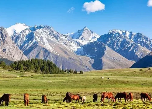 Kyrgyzstan begins nationwide project to update Red Book