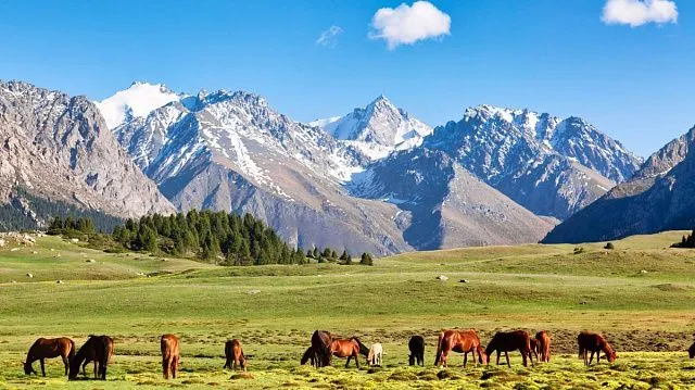 Kyrgyzstan begins nationwide project to update Red Book