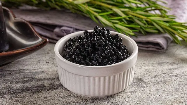 Black caviar factory in Belarus opens its doors to tourists