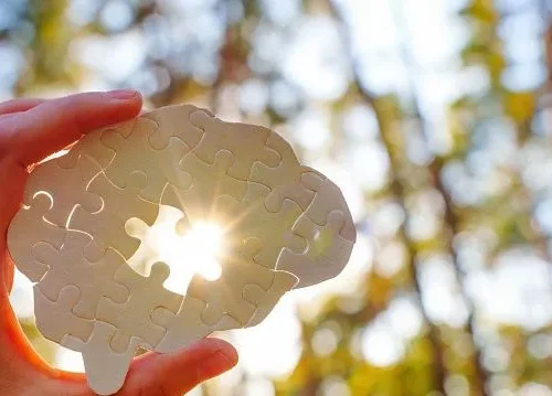 Chinese scientists discover how quickly human memories can form