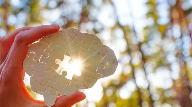 Chinese scientists discover how quickly human memories can form