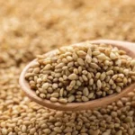 Zimbabwe strengthens structured sesame marketing as farmers earn over US million
