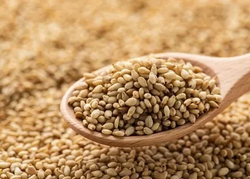 Zimbabwe strengthens structured sesame marketing as farmers earn over US million