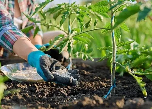 Nigeria distributes 100,800 bags of fertiliser to support farmers