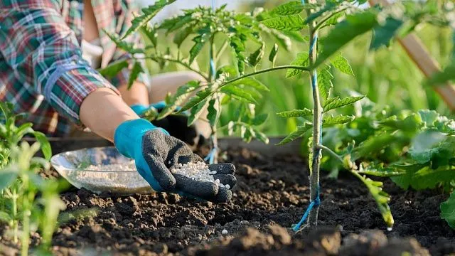 Nigeria distributes 100,800 bags of fertiliser to support farmers