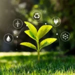 Kyrgyzstan expands organic farming area beyond 66,000 hectares
