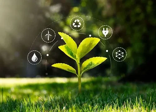 Kyrgyzstan expands organic farming area beyond 66,000 hectares