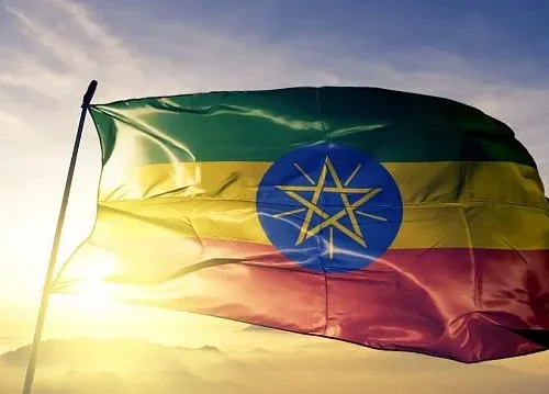 Ethiopia boosts wheat production and advances innovation-led development